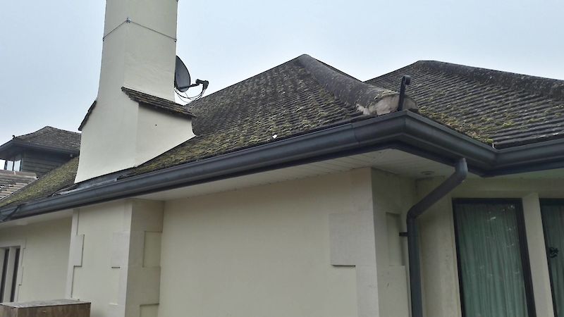 Bespoke Rainwater System