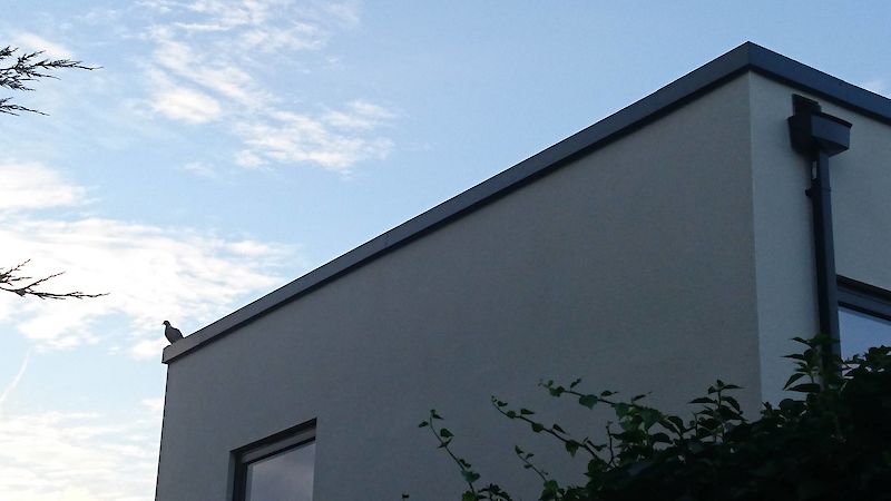 Bespoke Coping System